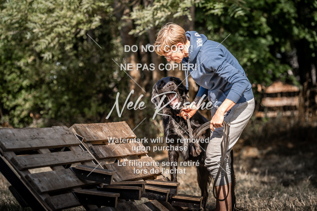 nelerasche_slaw24So_314 | nelerasche