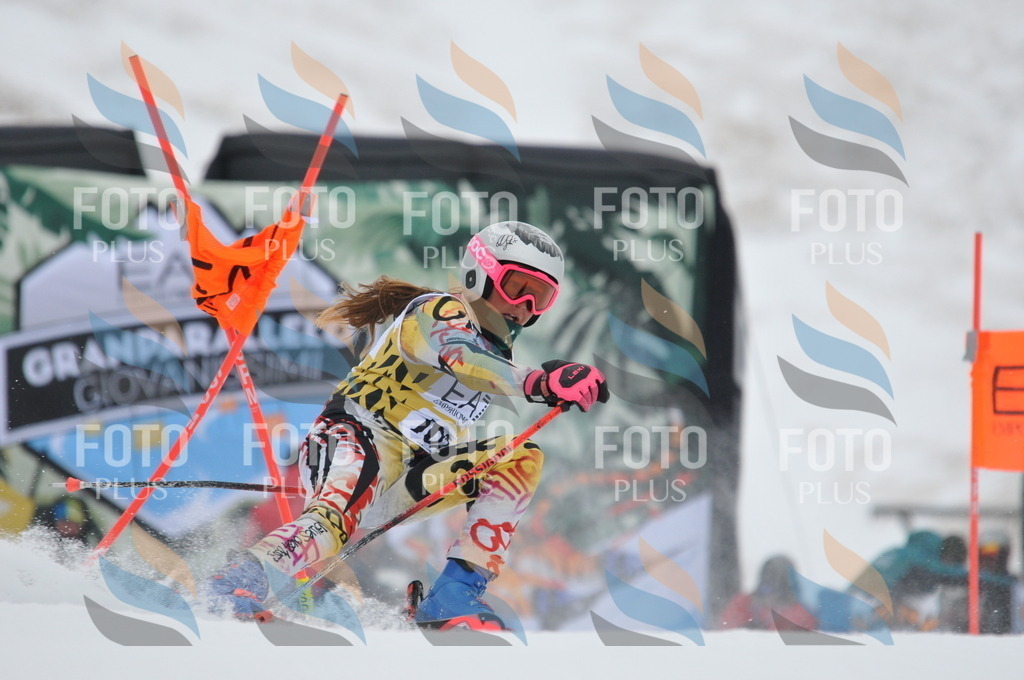 DSC_8897 | holidayphoto