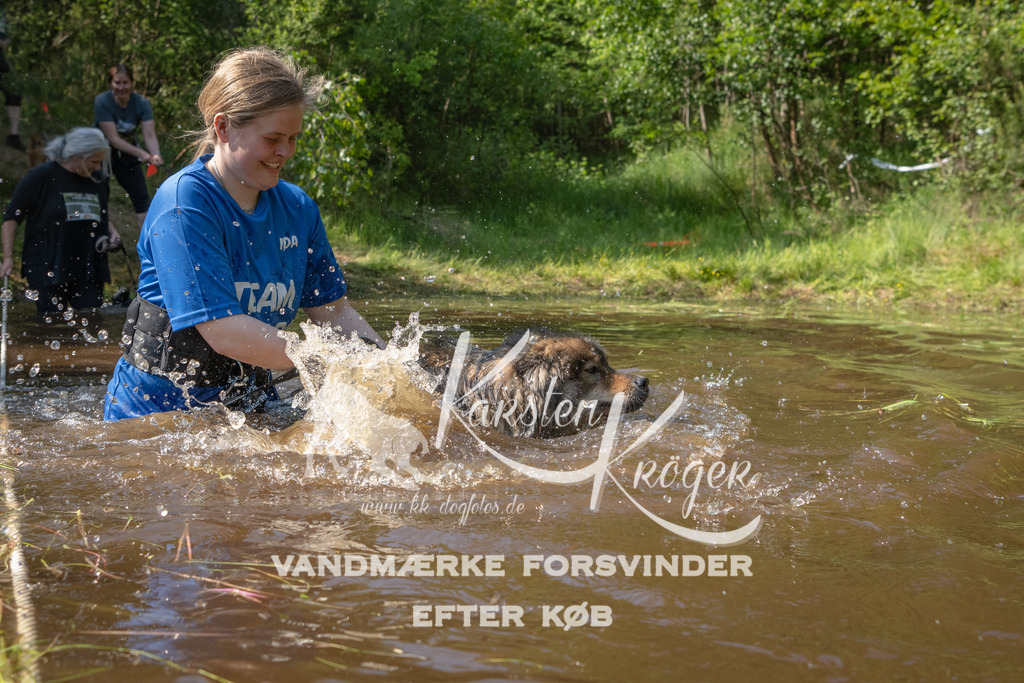 1626DKK990373 | kk-dogfotos