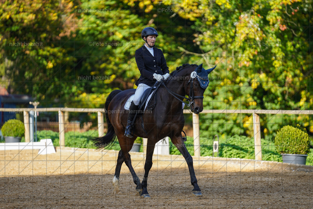 20221007-FAH00150 | Diessen am Ammersee, 2022, Dressur- und Springturnier, Reitsportbilder, Turnierfotografen Bayern, Pferdefotografen, Fotoagentur Herrmann, Turnierbilder