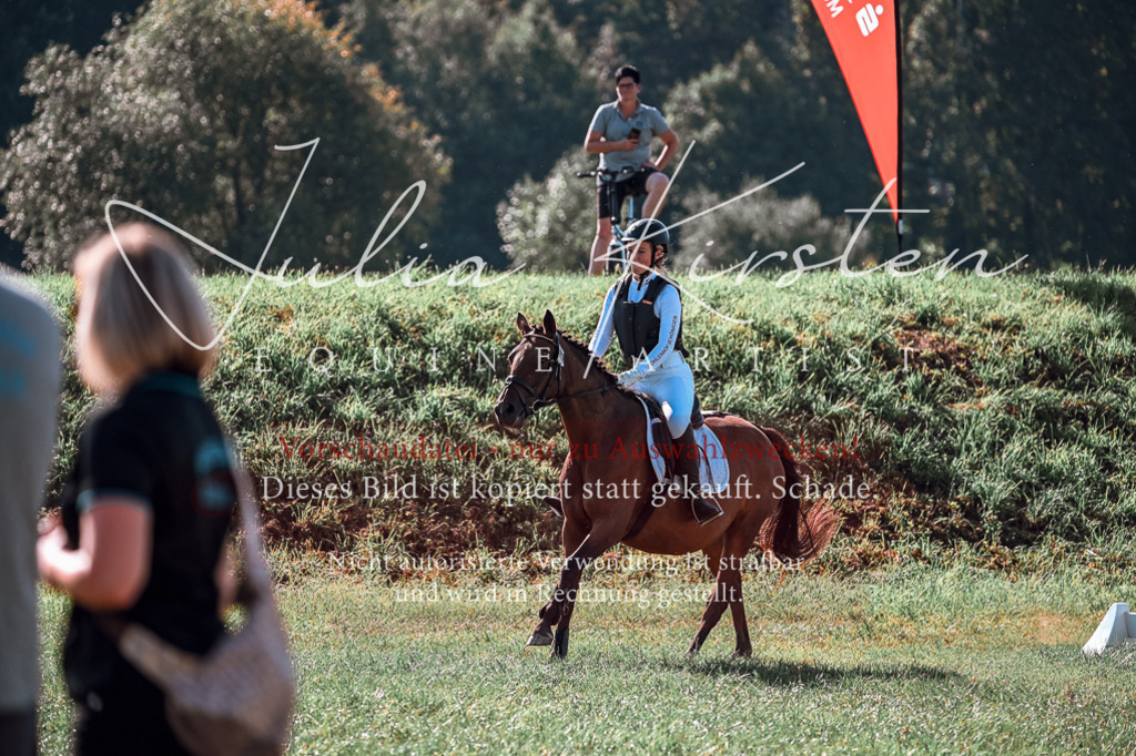 DSC_0666 | Pferde- und Turnierfotografie in Westsachsen. Pferdeportraits, Auftragszeichnungen und intuitive Kunst.