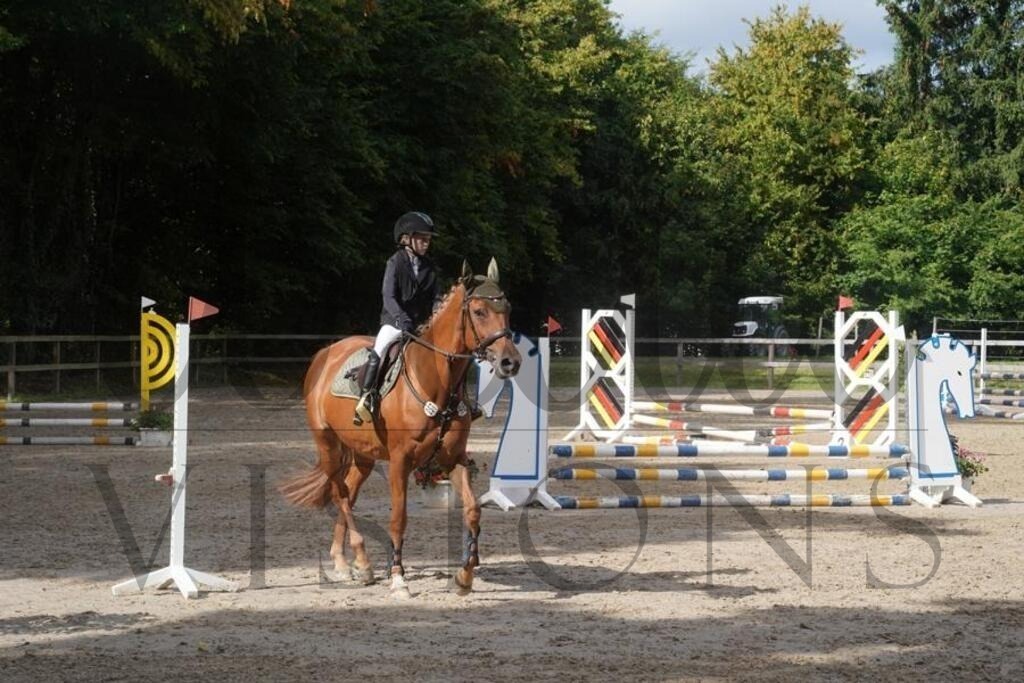 rveinoedsonntag (602) | d.tail Visions - Shop - Realisiert mit Pictrs.com