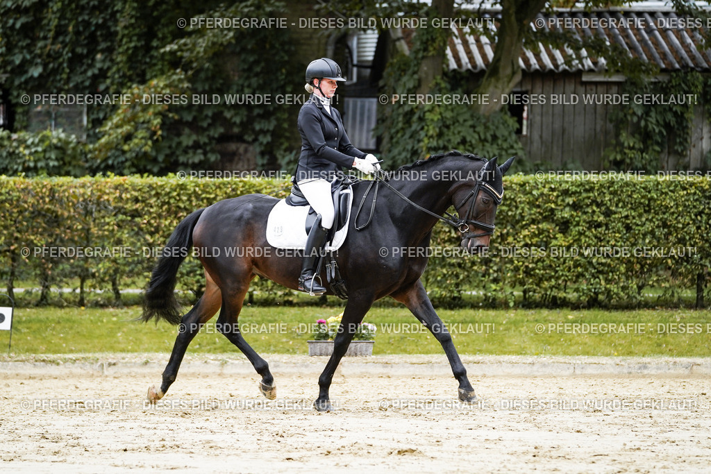 DSC07133 | Pferdegrafie