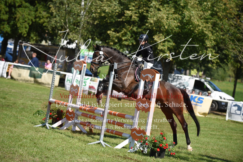 DSC_9369 | Pferde- und Turnierfotografie in Westsachsen. Pferdeportraits, Auftragszeichnungen und intuitive Kunst.