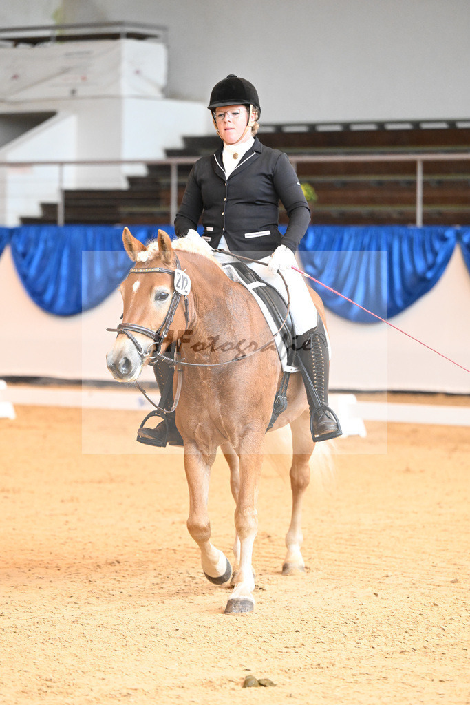 Kat-Nr. 212 Eyra_ZG Wolfgramm_54221621 | hf-fotografie - Realisiert mit Pictrs.com