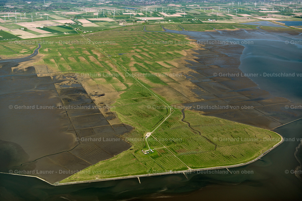 3801919 | Hamburger Hallig, Nationalpark Schleswig-Holsteinisches Wattenmeer