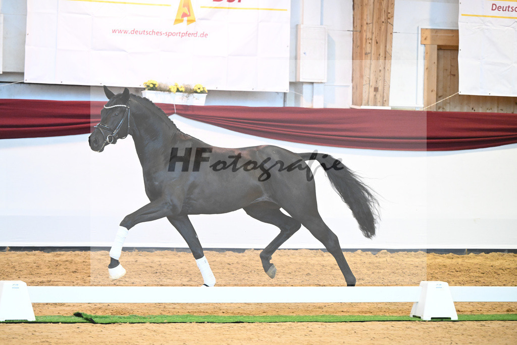 Kat-Nr. 8 v. Bon Courage_Maier_66220165 | hf-fotografie - Realisiert mit Pictrs.com