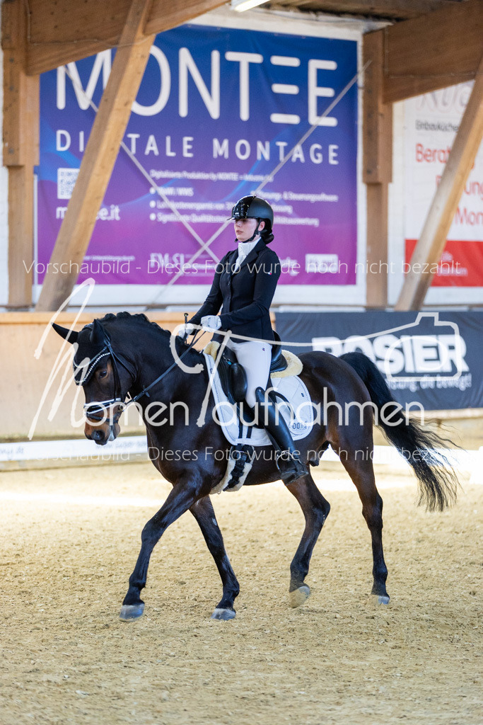 Sth-LPO25-DrR-L-176 | MomenTaufnahmen Pferdesportfotos