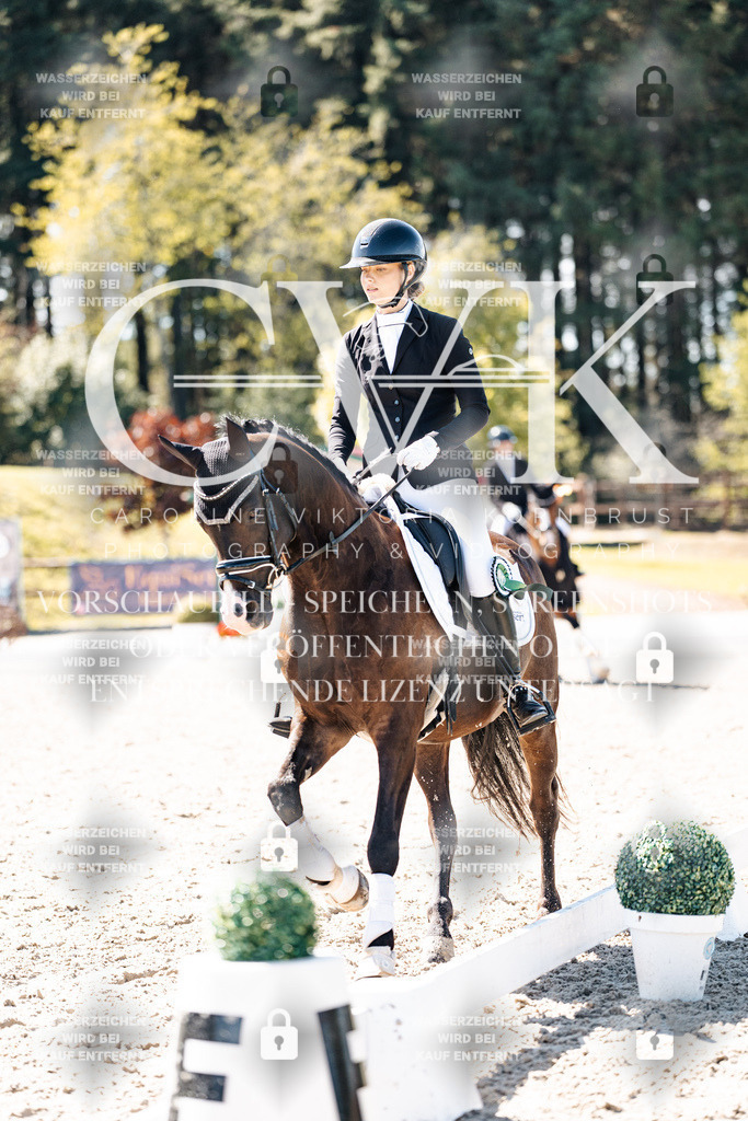 CK909991 | Turnierfotografie Pferdefotografie Trier Rheinland-Pfalz Pferdesport Reitsport Tierfotografie Sportfotografie Pferdevideo Pferdevideografie Equestrianvideography equestrianphotography  - Realisiert mit Pictrs.com