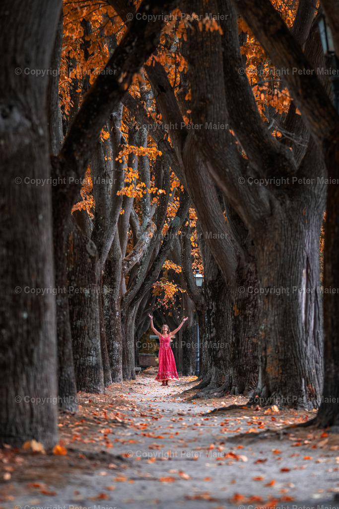 Toskana_Alee-8 | piet_flosse