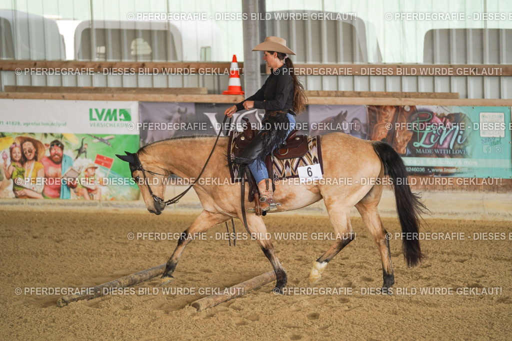 DSC01488 | Pferdegrafie