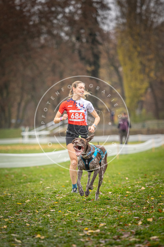 CaniXpix_DV3A8914 | Hundefotografie, Tierfotograf, Pfotenfotografie, Fotoshooting Hund, Hunde Portrait, Hundesport, Hundeportraits, Heideshooting, Hunde, Sportfotograf, Hundefotograf, Turnierhundsport, THS,  - Realisiert mit Pictrs.com
