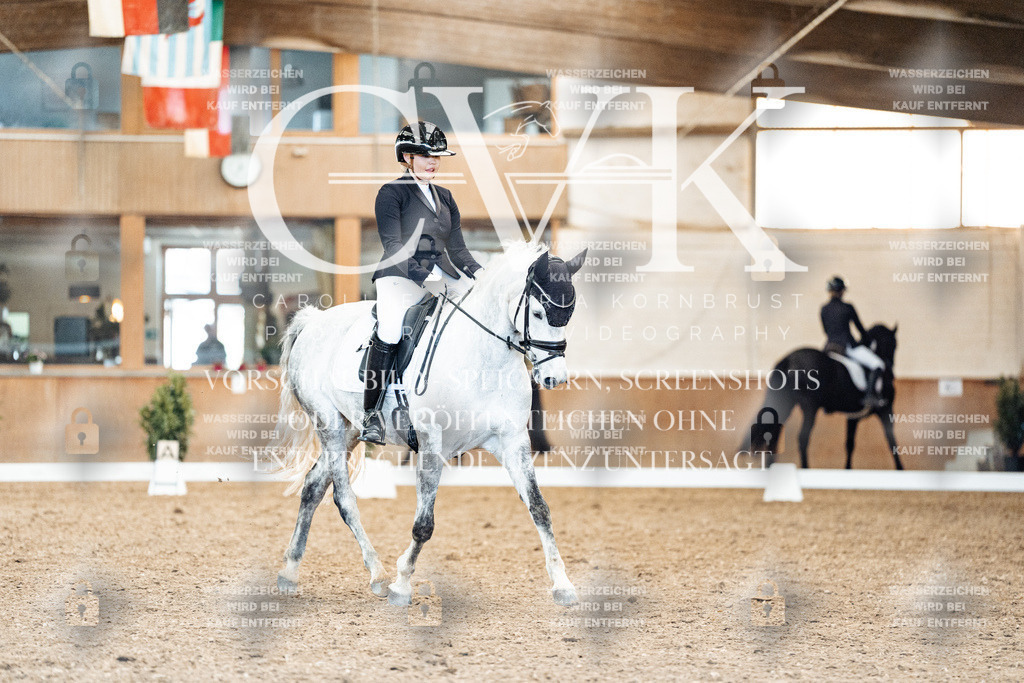 CK909633 | Turnierfotografie Pferdefotografie Trier Rheinland-Pfalz Pferdesport Reitsport Tierfotografie Sportfotografie Pferdevideo Pferdevideografie Equestrianvideography equestrianphotography  - Realisiert mit Pictrs.com