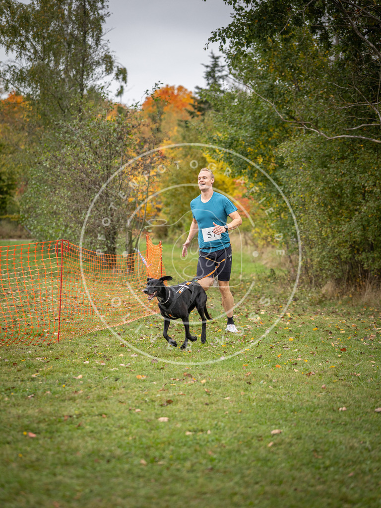 Pfotenfotografie_DV3A2584 | Hundefotografie, Tierfotograf, Pfotenfotografie, Fotoshooting Hund, Hunde Portrait, Hundesport, Hundeportraits, Heideshooting, Hunde, Sportfotograf, Hundefotograf, Turnierhundsport, THS,  - Realisiert mit Pictrs.com