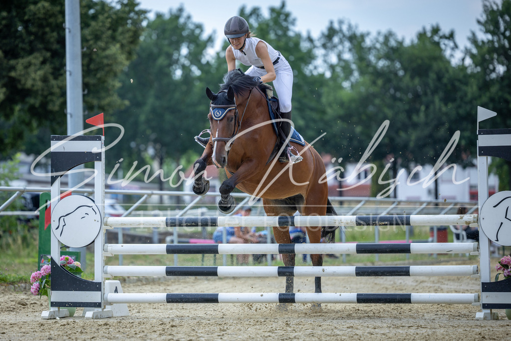 20260704-_3LI1487 | Tierfotografie Pferde, Hunde, Katzen, Haustiere.
Turnierfotografie Reitturniere, Reiten, Springreiten, Dressur in Hanau, dem Main-Kinzig-Kreis und dem Rhein-Main- Gebiet um Frankfurt