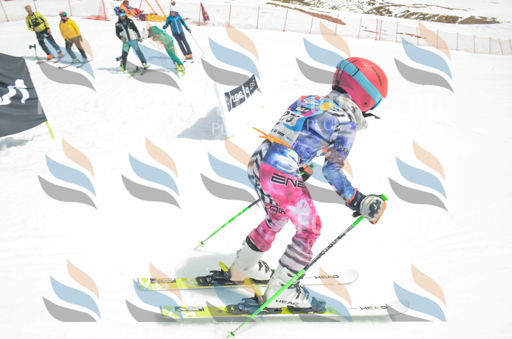 _ELE7921 | holidayphoto