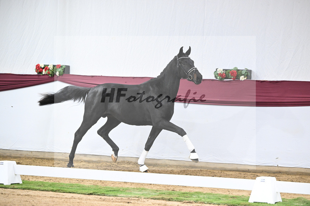 Kat-Nr. 34 Iron x Fuersten-Look_Thomas Casper_47251174 | hf-fotografie - Realisiert mit Pictrs.com