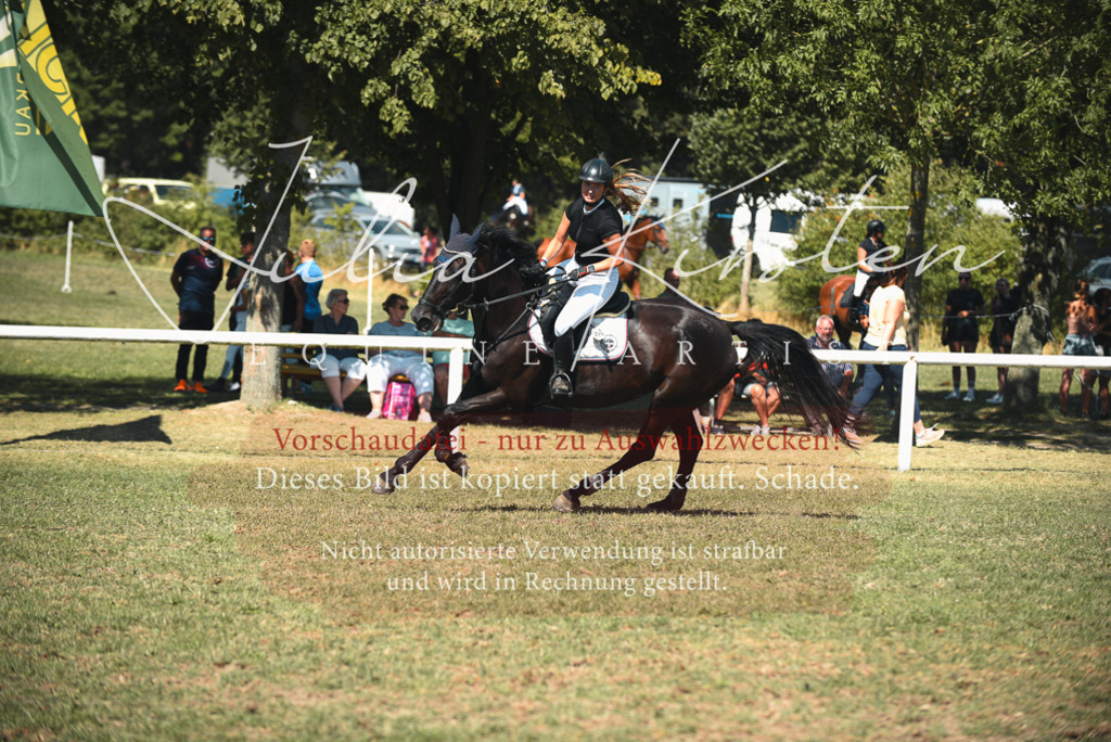 DSC_7076 | Pferde- und Turnierfotografie in Westsachsen. Pferdeportraits, Auftragszeichnungen und intuitive Kunst.