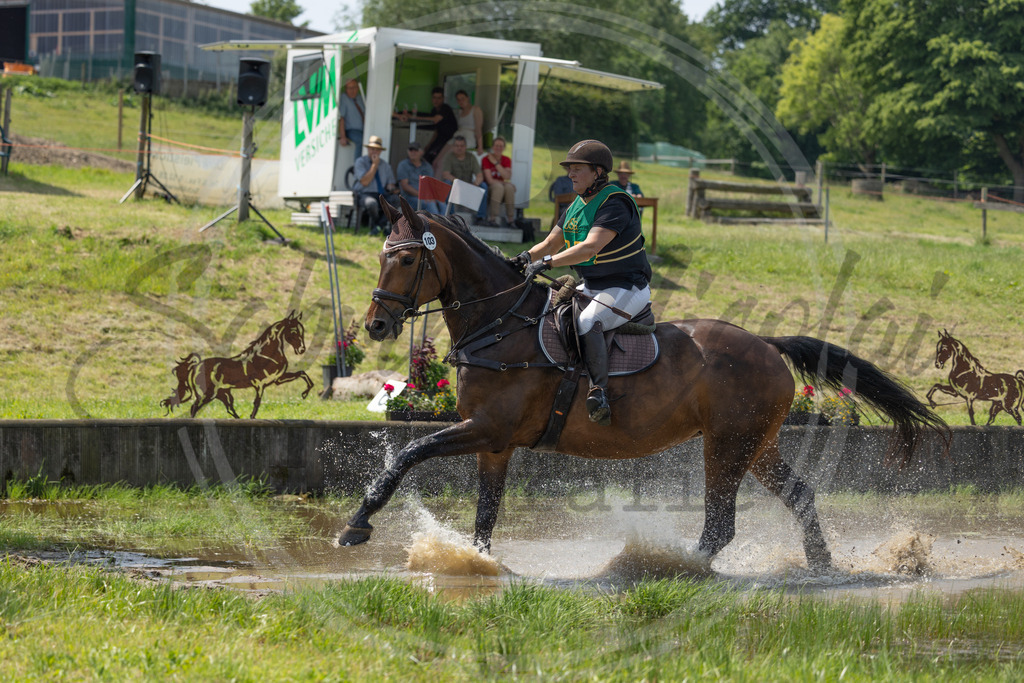 994A0980 | sabrinanicolaifotografie - Realisiert mit Pictrs.com