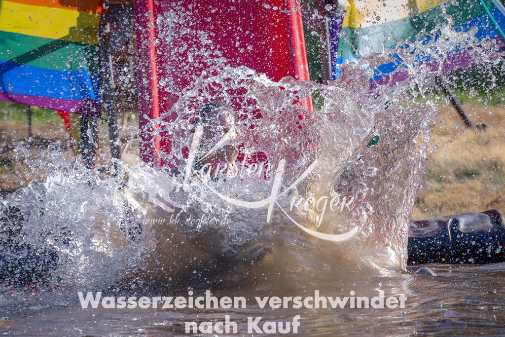 1712_ZZ93748 | kk-dogfotos