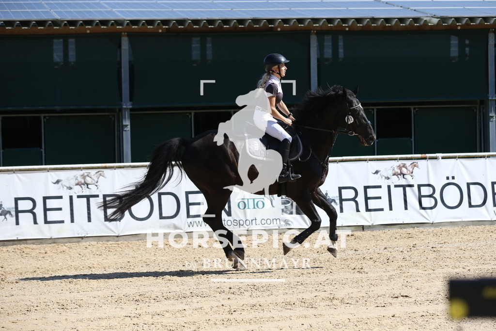 DL2Q8072 | Willkommen bei Brunnmayr - Design & Fotografie – Ihrem Spezialisten für Reitturniere und Pferdeveranstaltungen in Oberösterreich, Salzburg und Bayern! Seit über 17 Jahren sind wir leidenschaftlich dabei.