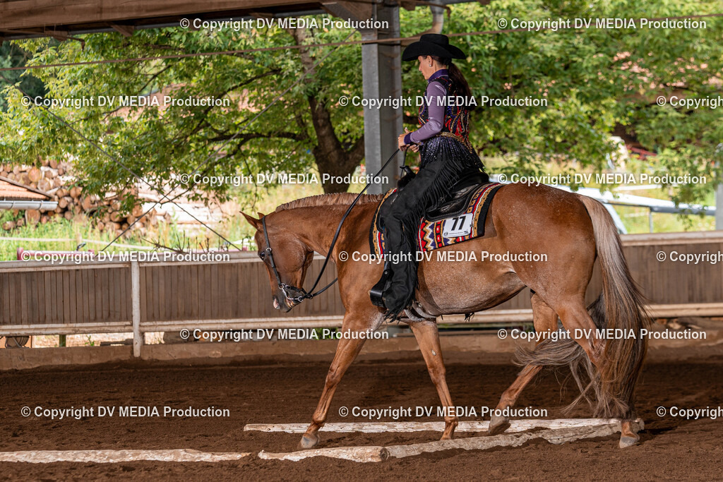 Erbach Tag 2-120 | dv-media-shop - Realisiert mit Pictrs.com