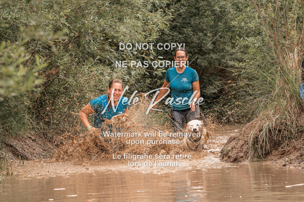 nelerasche_Hoope2026_So1000-1030_400 | nelerasche