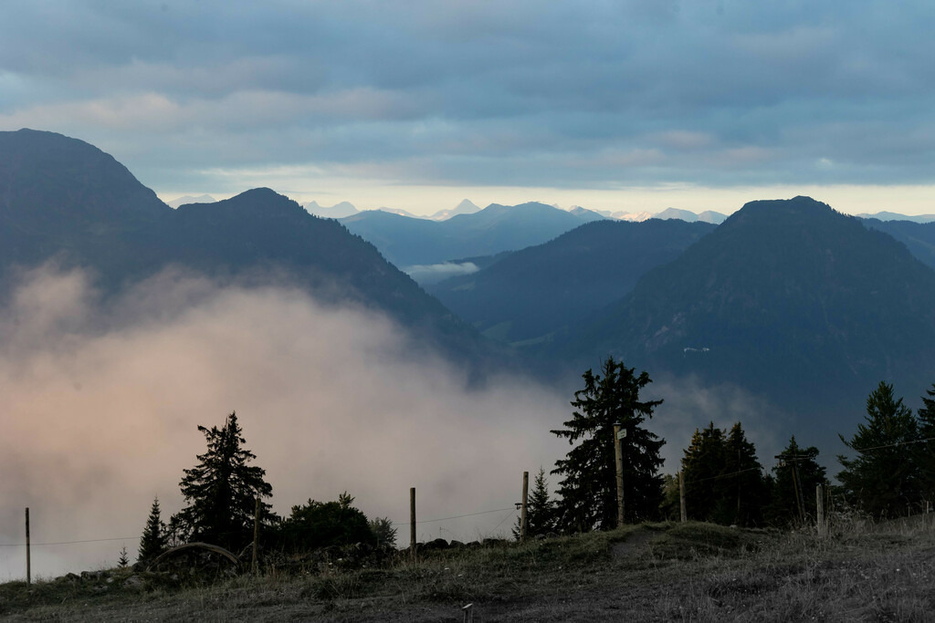 _W5A1447 | Sich an die einzigartigen Momente der Natur und Landschaft sowie die Begegnung mit heimischen wilden Tieren zu erinnern, dies kann man anhand den Bilder der Natur und Landschaftsfotografin Sandra Eimermacher.  - Realisiert mit Pictrs.com