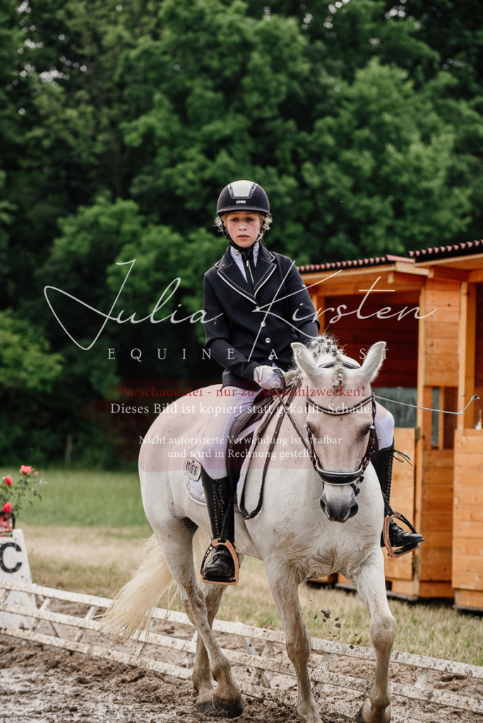 DSC_9431 | Pferde- und Turnierfotografie in Westsachsen. Pferdeportraits, Auftragszeichnungen und intuitive Kunst.