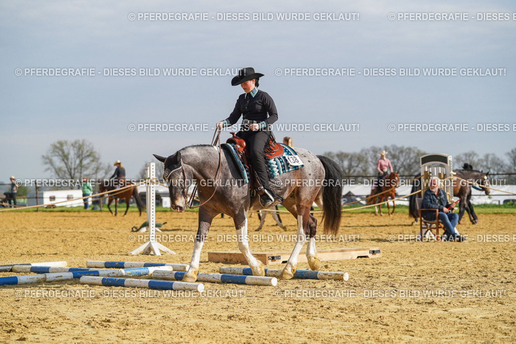 DSC01170 | Pferdegrafie