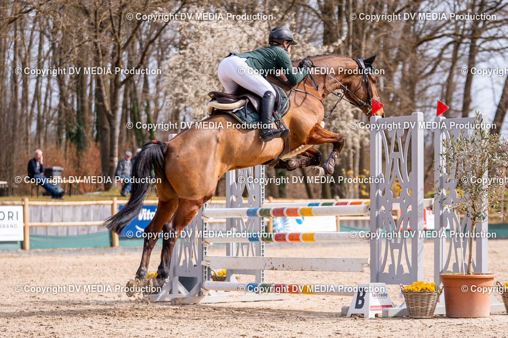 Kranichstein Tag 1-599 | dv-media-shop - Realisiert mit Pictrs.com