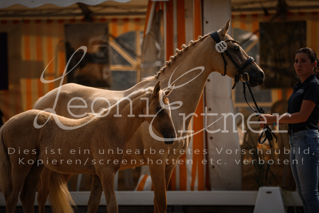 10.DoRP00009 | Leoni Ertmer Photography - Realisiert mit Pictrs.com