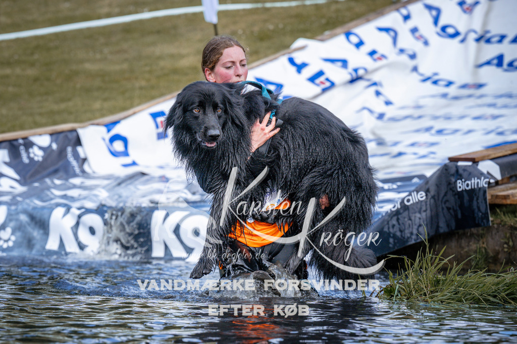 _ZZ919070918 | kk-dogfotos