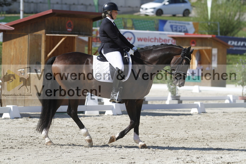_MG_0781 | equestrian-live-com