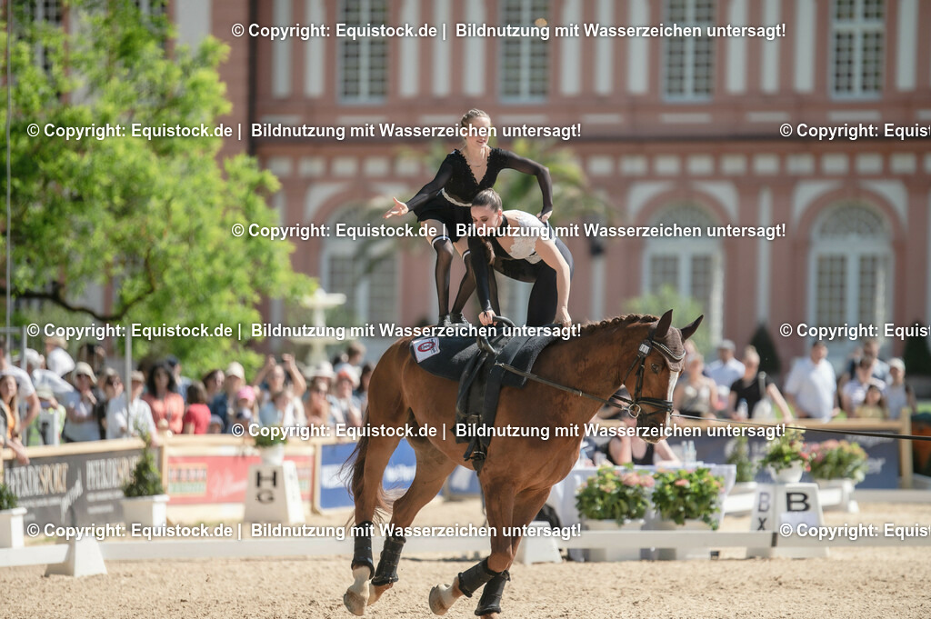 20230528_Voltigieren_NASPA_0542 | equistock