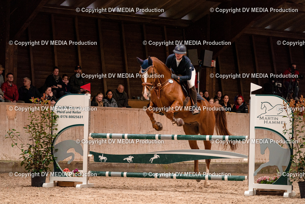 Springen Tag 2-341 | dv-media-shop - Realisiert mit Pictrs.com