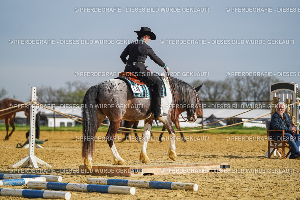 DSC01077 | Pferdegrafie