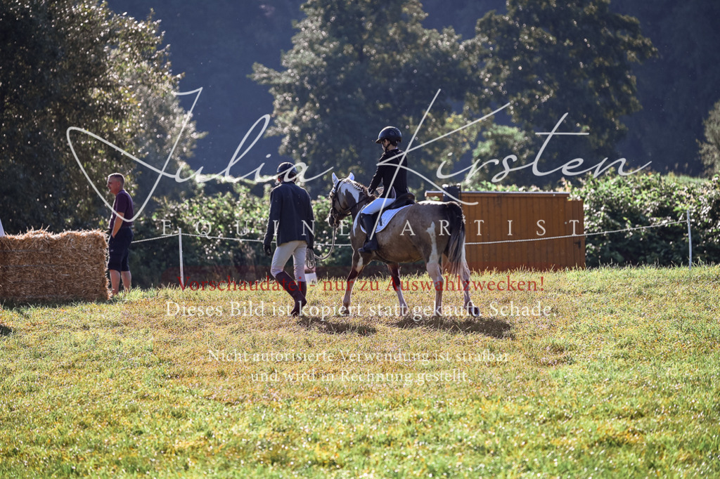 DSC_0317 | Pferde- und Turnierfotografie in Westsachsen. Pferdeportraits, Auftragszeichnungen und intuitive Kunst.