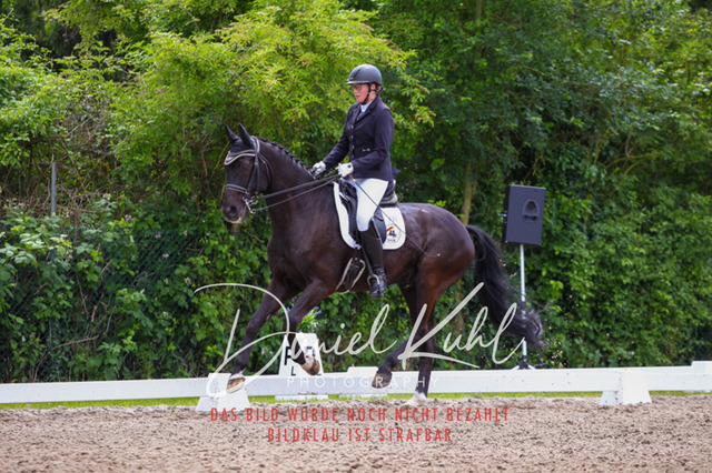 DKP41179 | Turnierfotos kaufen im Webshop von Daniel Kuhl Photography – entdecke professionelle Reitsportfotos aus Turnieren & Events. Hochwertige Turnierbilder online bestellen & sichern. Jetzt Fotos von Reitsportturnieren kaufen!