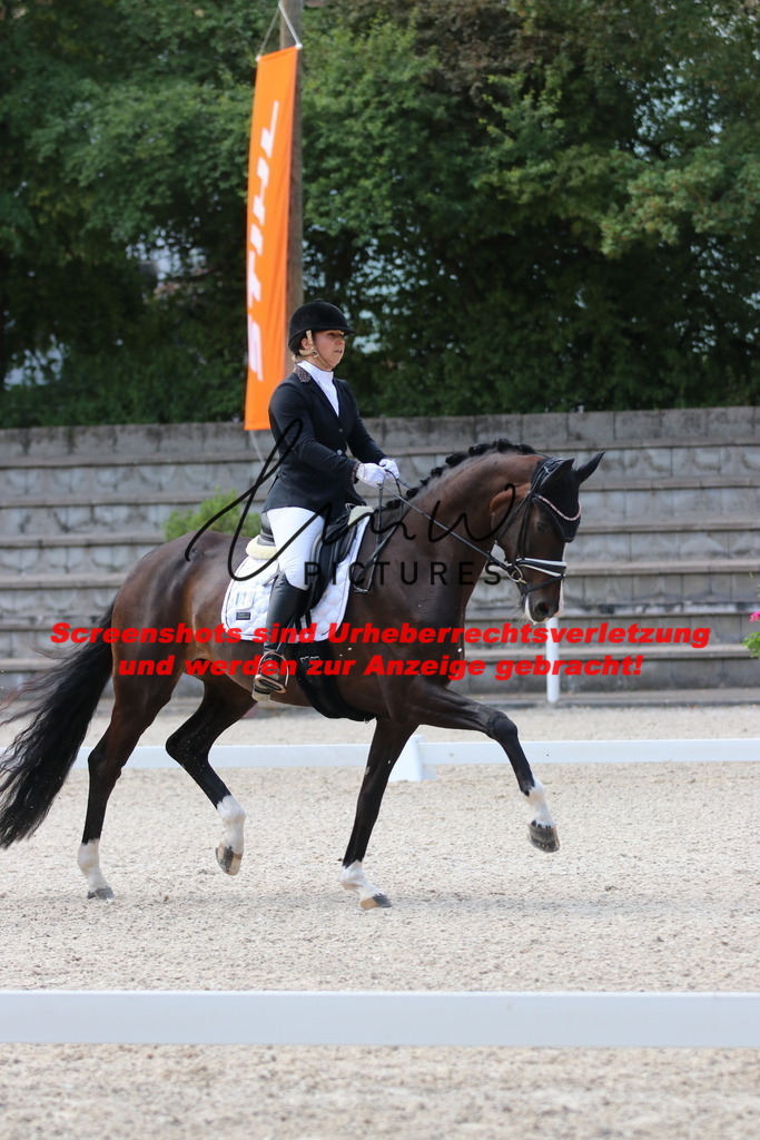 IMG_4454 | lmwpictures - Realisiert mit Pictrs.com