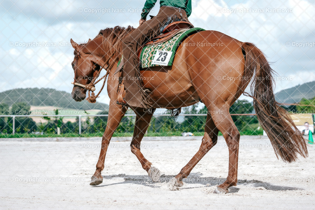 DSC04131 | ikphotography - Realisiert mit Pictrs.com