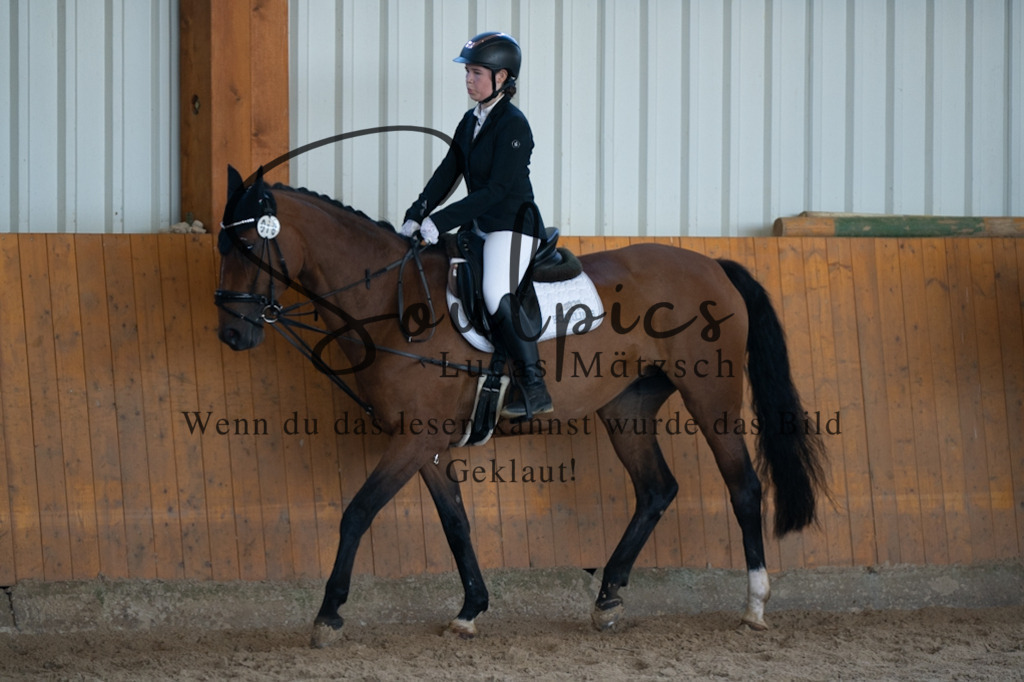 A7V02097 | Turnier/Reitfotograf
