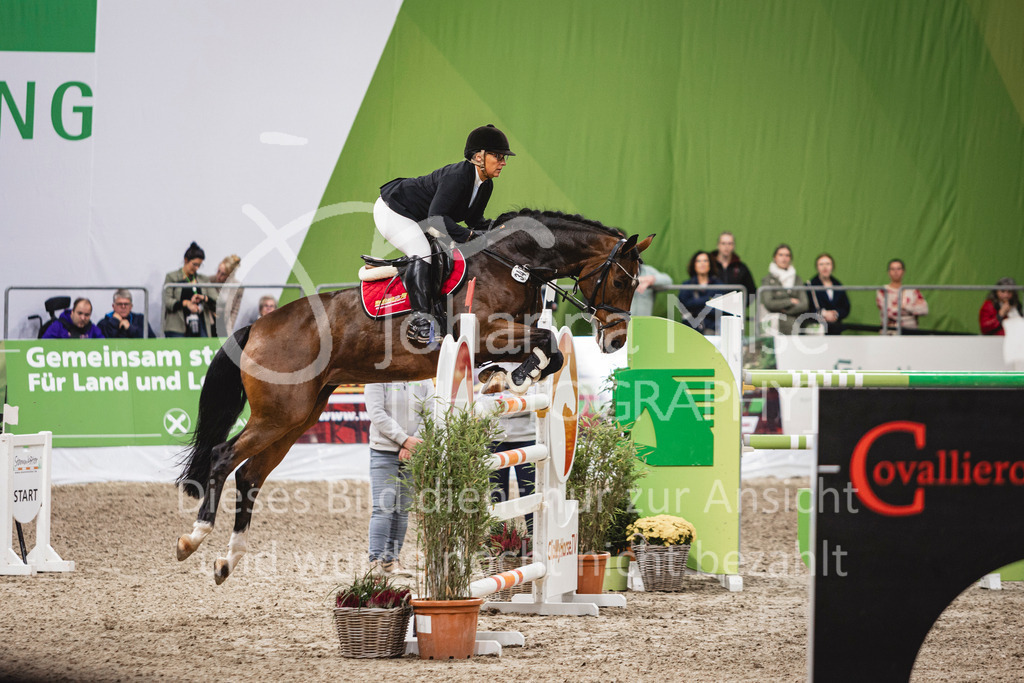 241102_Oldenburg_FinaleWaldbach-111 | Deine schönsten Turniermomente als professionelle Fotos! Entdecke hochwertige Pferdesport-Fotografie im Online-Shop. Jetzt Fotos finden & bestellen!