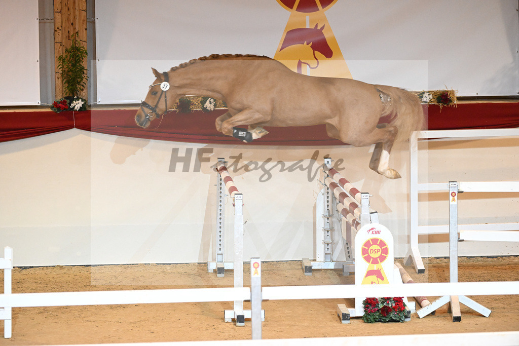 Kat-Nr. 37 Zinedream_Holtwiesche u Schulze-Averdiek_1231097 | hf-fotografie - Realizzato con Pictrs.com
