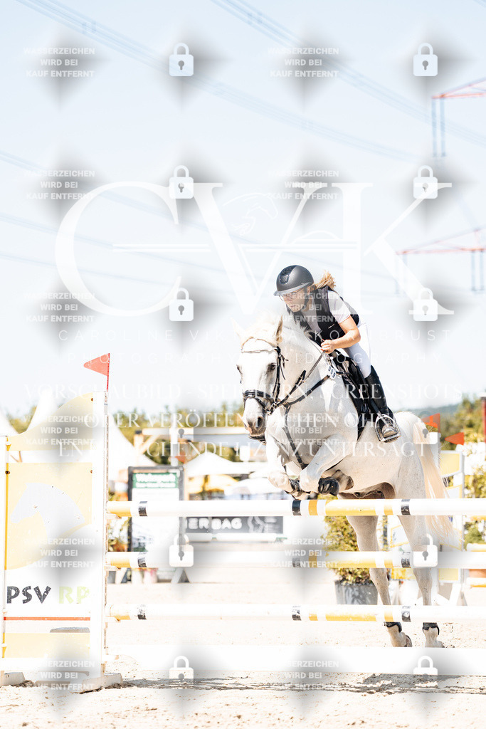 CK909758 | Turnierfotografie Pferdefotografie Trier Rheinland-Pfalz Pferdesport Reitsport Tierfotografie Sportfotografie Pferdevideo Pferdevideografie Equestrianvideography equestrianphotography  - Realisiert mit Pictrs.com