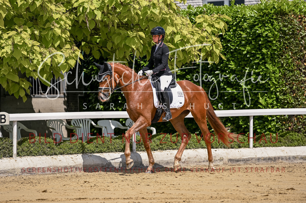 Schugtsche-Aluta25-48.Reitpferfdeprf.-262 | Schugtsche Fotografie - Realisiert mit Pictrs.com