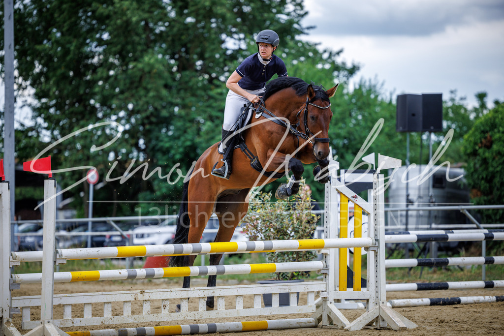 20260705-_3LI5316 | Tierfotografie Pferde, Hunde, Katzen, Haustiere.
Turnierfotografie Reitturniere, Reiten, Springreiten, Dressur in Hanau, dem Main-Kinzig-Kreis und dem Rhein-Main- Gebiet um Frankfurt