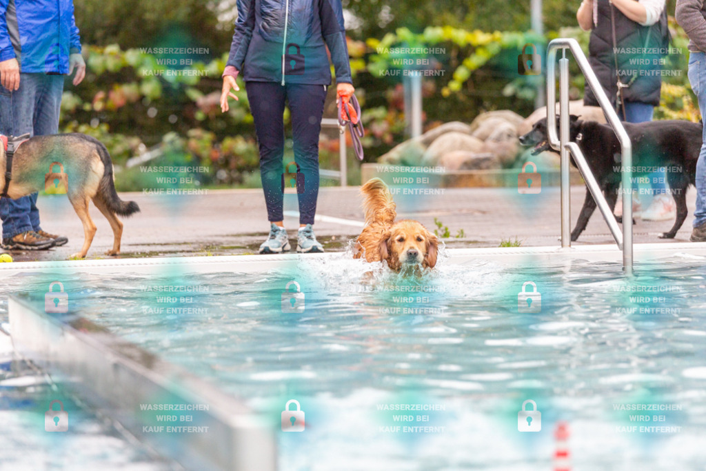 _HP_7190_1000o | HetPix, HetPix Fotodesign, Fotografie, Fotodesign, Webshop, Sportfotografie, Portraitfotografie, Onlineshop, Sportfotografie, Polch, Motorsportfotografie, Eventfotografie