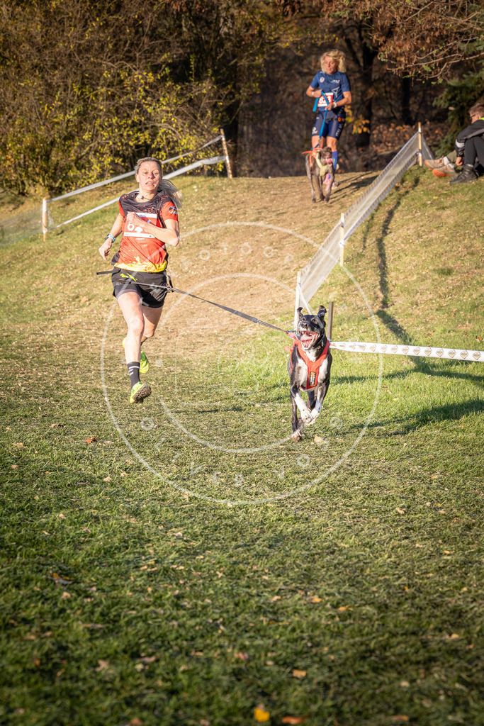 CaniXpix_0L8A0559 | Hundefotografie, Tierfotograf, Pfotenfotografie, Fotoshooting Hund, Hunde Portrait, Hundesport, Hundeportraits, Heideshooting, Hunde, Sportfotograf, Hundefotograf, Turnierhundsport, THS,  - Realisiert mit Pictrs.com