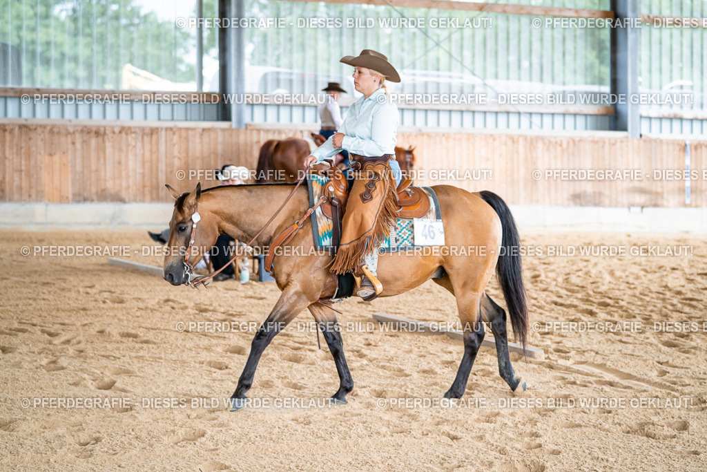 DSC07911 | Pferdegrafie